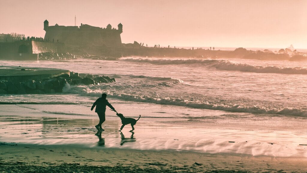 Beach Man Dog Silhouette Castle  - davidosta / Pixabay